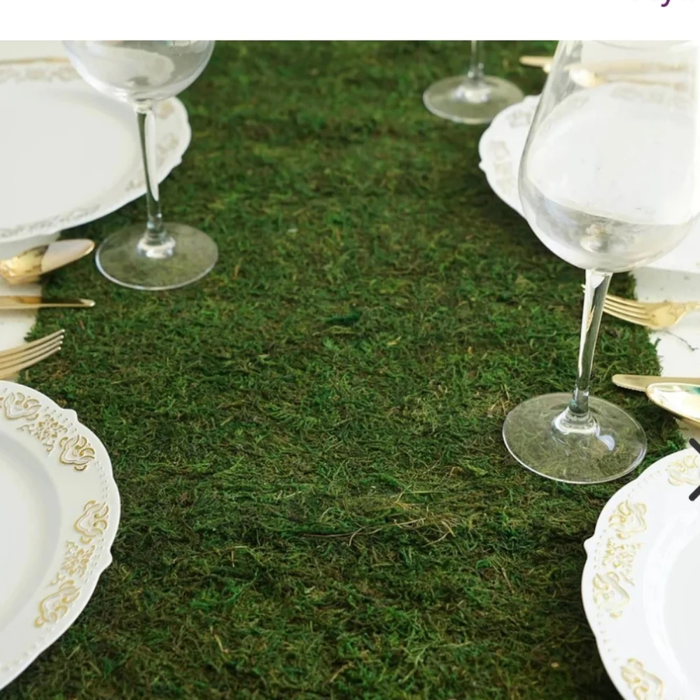 🚦3for$15🚦Acme Moss Table Runner